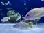 みんみんのプロフィール画像