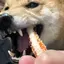 優海のプロフィール画像