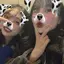 ayaneのプロフィール画像