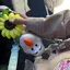 ミのプロフィール画像