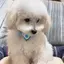 舞のプロフィール画像