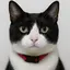 ゆんのプロフィール画像