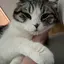 Chiiiのプロフィール画像