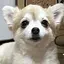 美佳のプロフィール画像