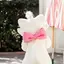 saのプロフィール画像