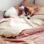 はるのプロフィール画像