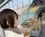 こはくのプロフィール画像