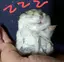 Kのプロフィール画像