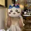 まなをのプロフィール画像