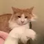 いろはのプロフィール画像