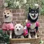 ひとみのプロフィール画像