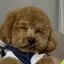 みっこのプロフィール画像