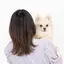 りんのプロフィール画像