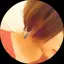 よっぴーのプロフィール画像