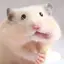ぽてとのプロフィール画像