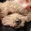 SAKIのプロフィール画像
