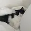 あやかのプロフィール画像