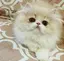 ゆうさんのプロフィール画像