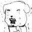 実家の犬ラヴのプロフィール画像