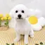 repiのプロフィール画像