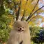 おだひのプロフィール画像