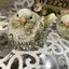 みっちーのプロフィール画像