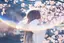 じゅりのプロフィール画像