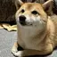 kのプロフィール画像