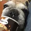 まいちゃんのプロフィール画像