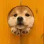 chinのプロフィール画像