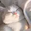 ゆゆのプロフィール画像