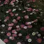 希咲のプロフィール画像