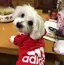 みさとのプロフィール画像