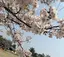 竣介のプロフィール画像