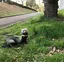 まほのプロフィール画像