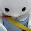 🐱のプロフィール画像