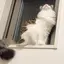 にゃにゃんのプロフィール画像