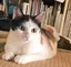 てらちゃんのプロフィール画像