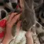みきのプロフィール画像