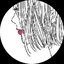 杏沙のプロフィール画像