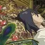 友香のプロフィール画像