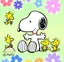 ロコロコのプロフィール画像