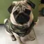 niina:)のプロフィール画像