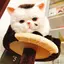 もものプロフィール画像