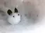 さゆみのプロフィール画像