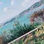 しーのプロフィール画像