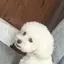 もものプロフィール画像