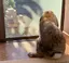てつぞうのプロフィール画像