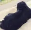 なののプロフィール画像