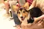 みえこのプロフィール画像
